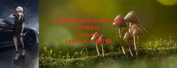 мескалин Баксан
