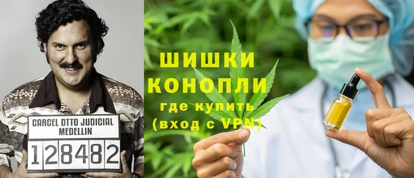 spice Аркадак