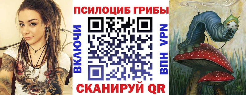Галлюциногенные грибы прущие грибы  наркошоп  Свободный 